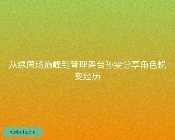 从绿茵场巅峰到管理舞台孙雯分享角色蜕变经历 从绿茵场巅峰到管理舞台孙雯分享角色蜕变经历